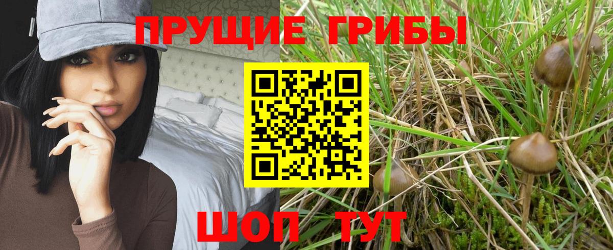 Печора  Псилоцибиновые грибы Magic Shrooms  Вход с VPN 