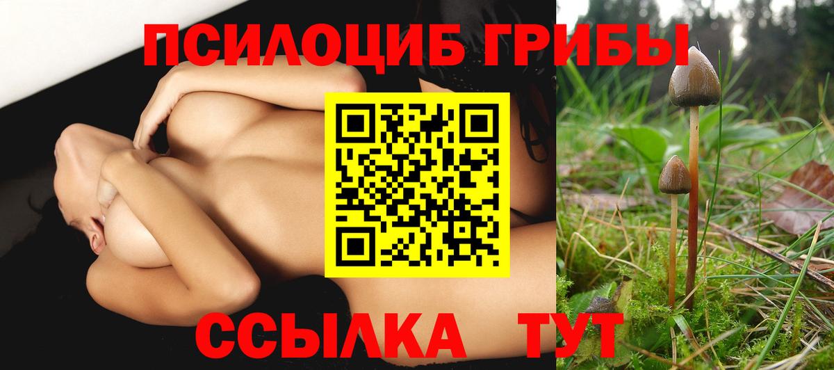 Галлюциногенные грибы Psilocybine cubensis Печора