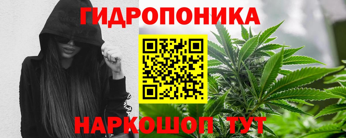 Каннабис Bruce Banner  Марихуана Ganja  Канабис Bruce Banner  Вход с VPN  Печора 